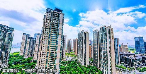 最新广州房产爆料,揭秘热门区域价格飙升背后的秘密